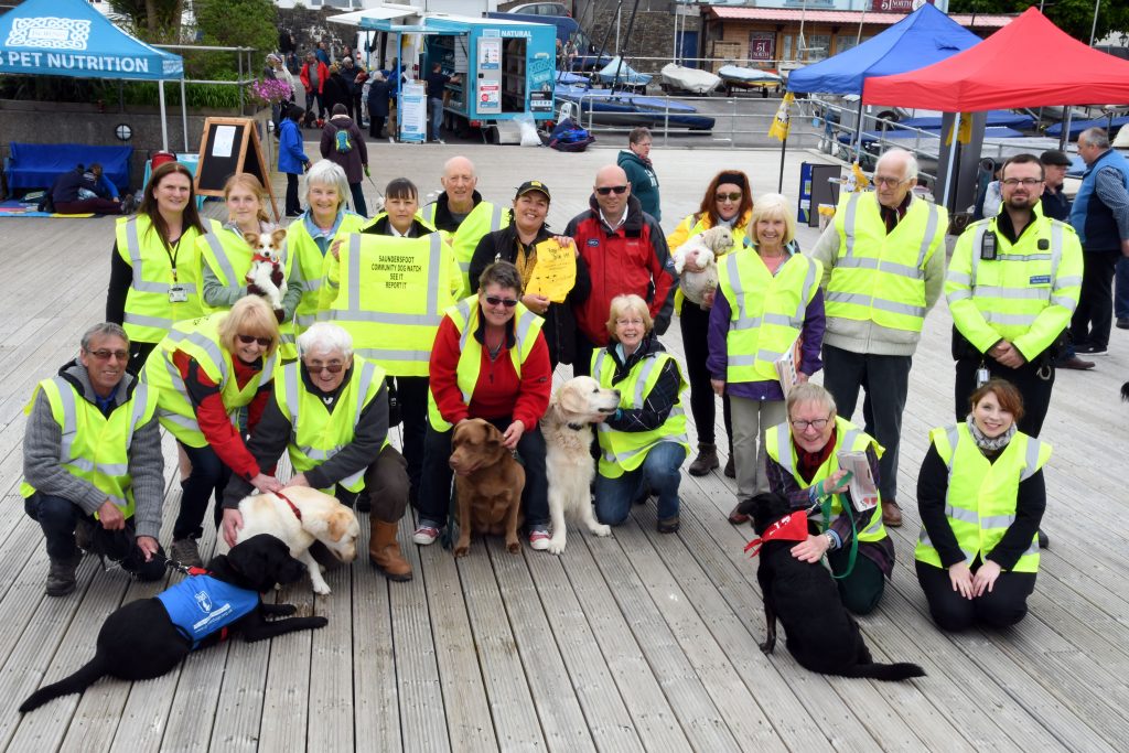 Saundersfoot Dog walkers take the lead The Pembrokeshire Herald