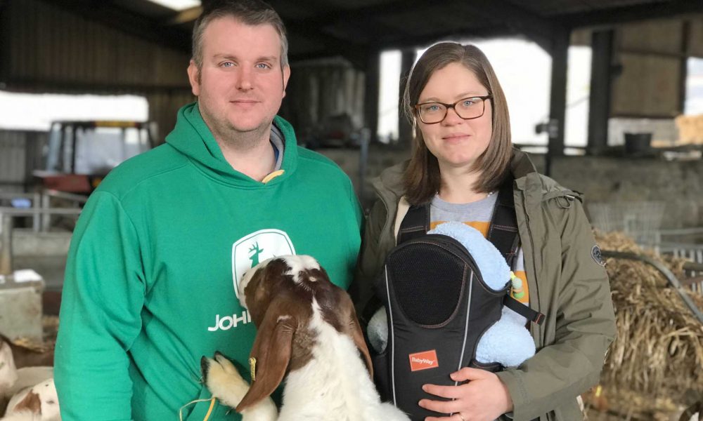 It's all go for Moat Goats – The Pembrokeshire Herald 
