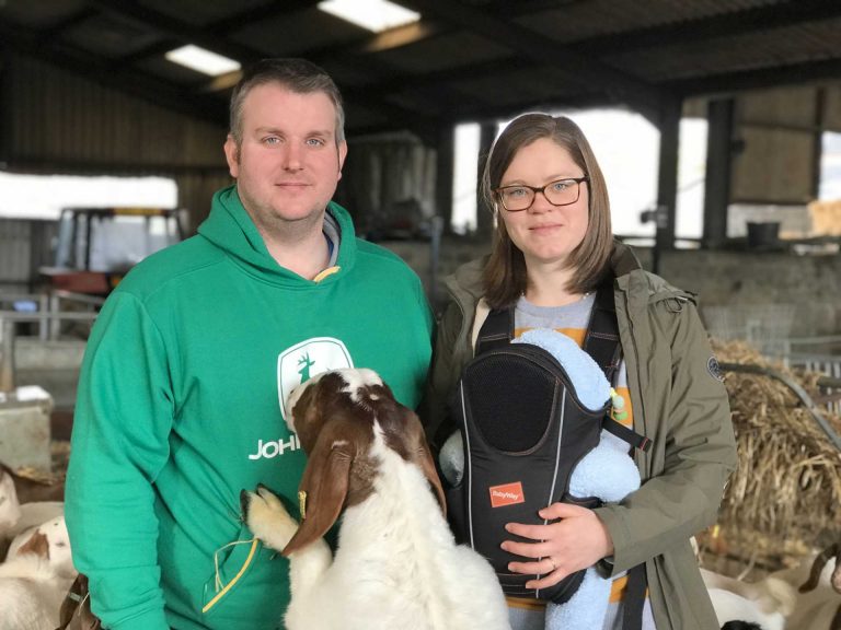 It's all go for Moat Goats The Pembrokeshire Herald