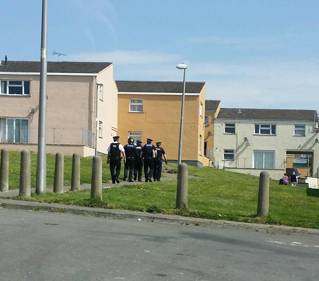 The fast and the furriest Milford mechanic's secret rabbit life The