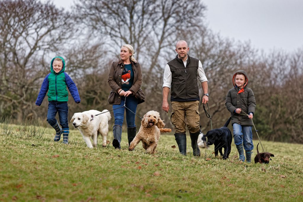 Pembrokeshire dogs in for a treat The Pembrokeshire Herald