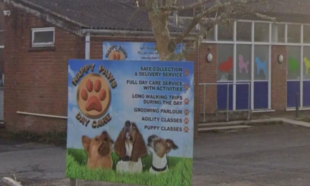 Merlins Bridge dog daycare centre allowed to stay open 